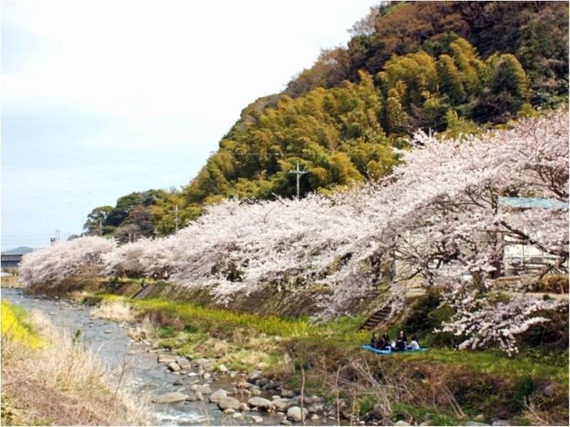Yugawara Mizunokaori Hotel Buitenkant foto