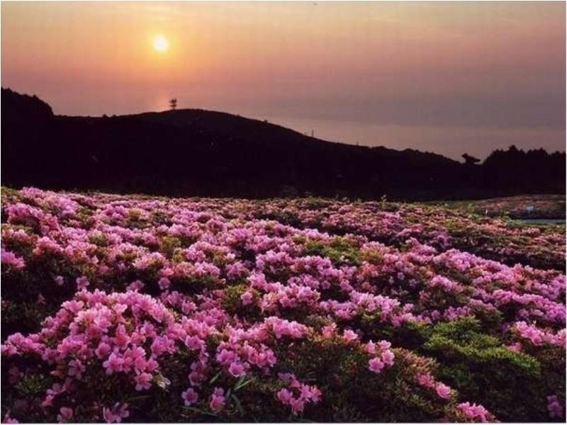 Yugawara Mizunokaori Hotel Buitenkant foto