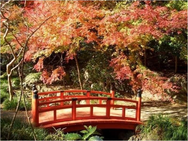 Yugawara Mizunokaori Hotel Buitenkant foto