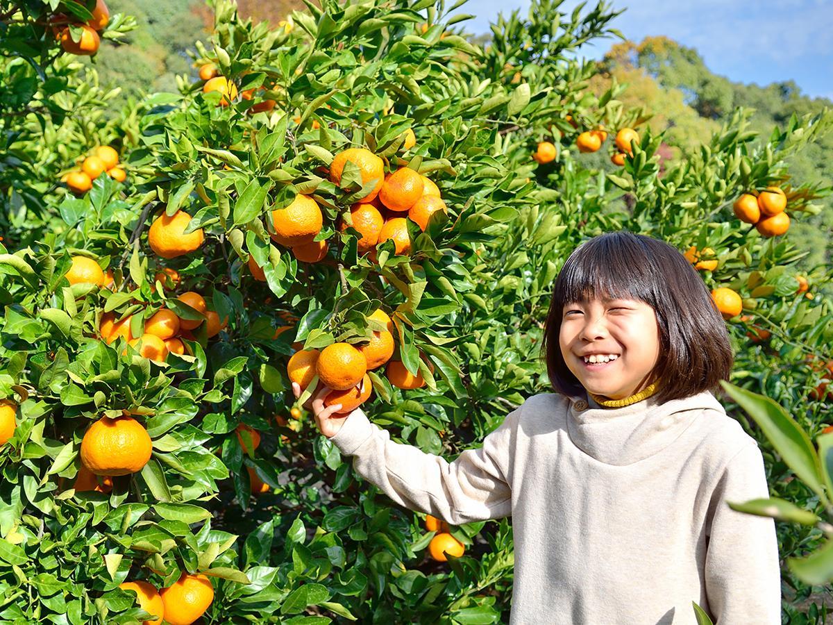 Yugawara Mizunokaori Hotel Buitenkant foto