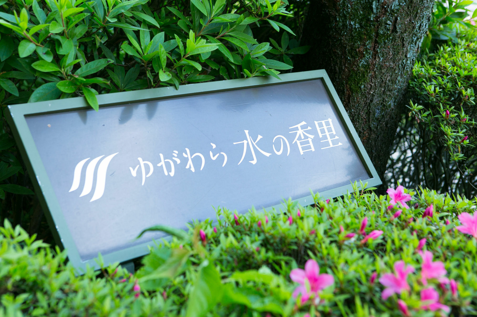 Yugawara Mizunokaori Hotel Buitenkant foto