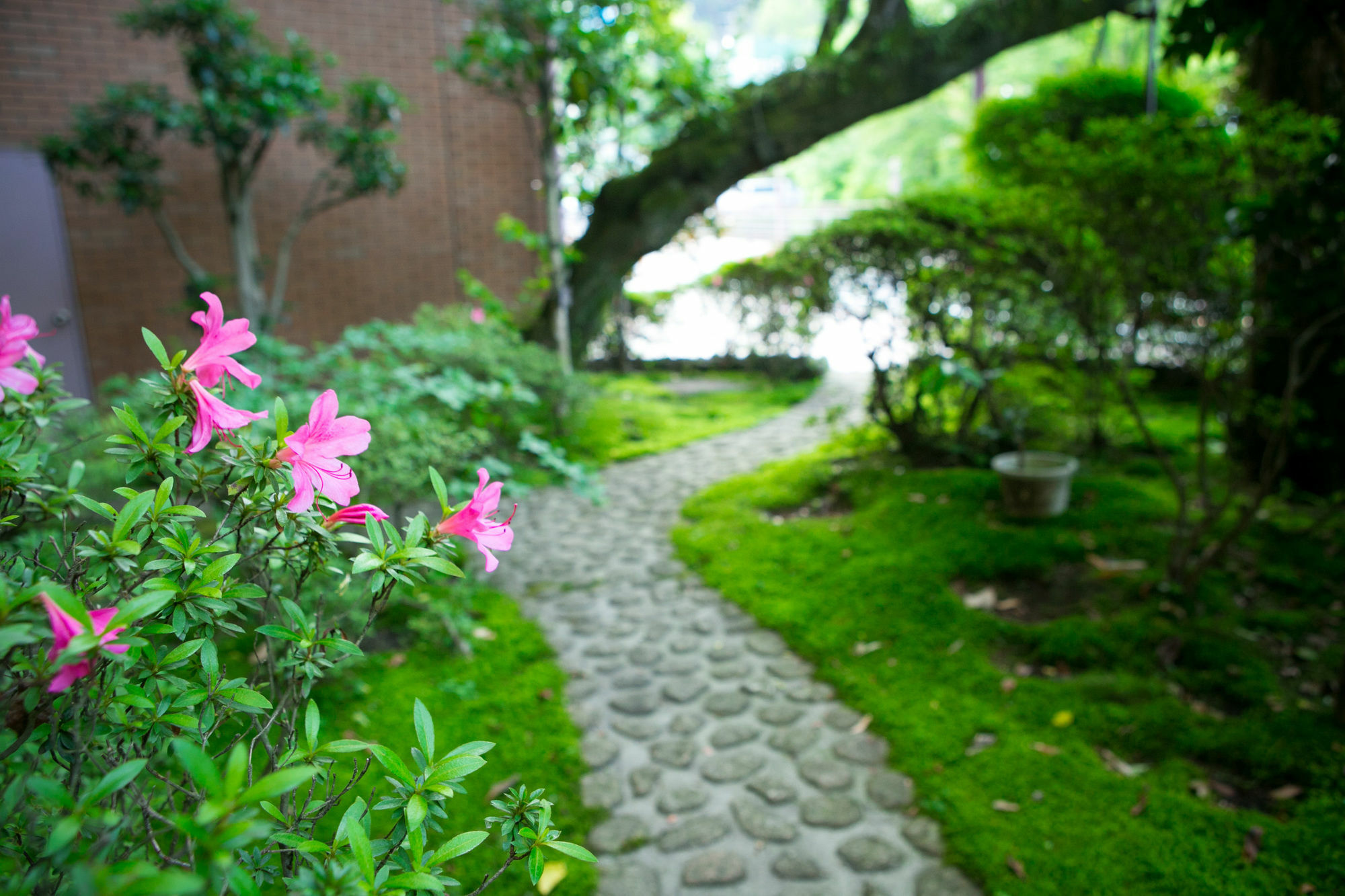 Yugawara Mizunokaori Hotel Buitenkant foto